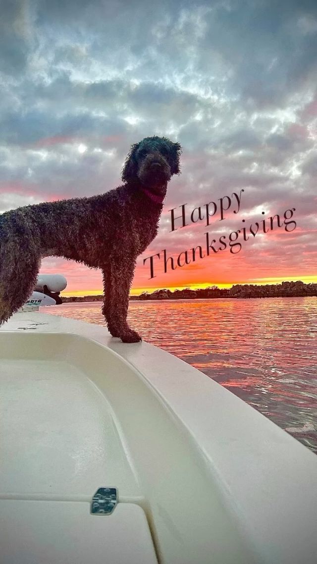 🍁Happy Thanksgiving from the Coastal Marsh crew! 🦃Enjoy your feast with family and friends!