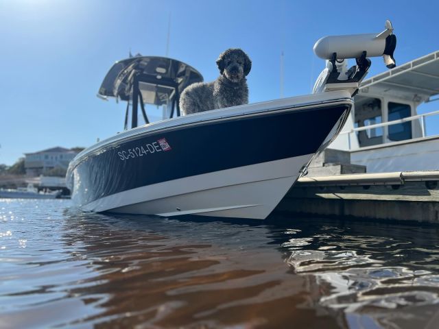 Most of the time we are on the water fishing. Other days we are relining reels, cleaning and working on the boat. We are in the process of creating some behind the scenes content for you all here at Coastal Marsh Adventures. 

Lets us know what kinds of “behind the scenes” content you would be most excited for in the comments below ⬇️!

🔗coastalmarshcharters.com

📧 chris@coastalmarshcharters.com

📞 (304) 807-7577